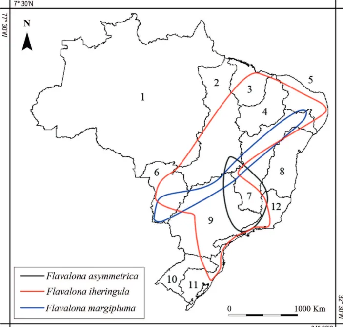 Figure 5.  Approximated geographical range of Flavalona species in Brazil. The map presents the delimitation of Hydrographic  Regions according to Resolution 32 from Conselho Nacional de Recursos Hídricos