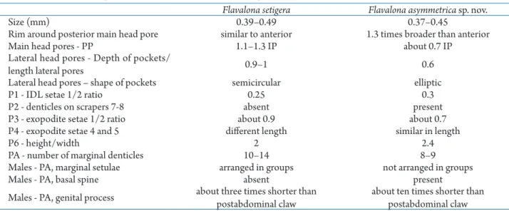Table 1.  Main morphological differences between Flavalona setigera (Brehm, 1931) and Flavalona asymmetrica sp