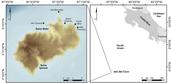 Figure 1.  Isla del Coco, showing sites* at which Heteromysis (Olivemysis) cocoensis n