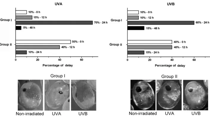 Figure 3.  Developmental timelines of Macrobrachium olfersii embryos from groups I and II following UVA and UVB exposure