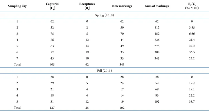 Table 2.  Number of adult aeglids captured, marked and recaptured in each sampling day, in spring 2010 and in fall 2011.