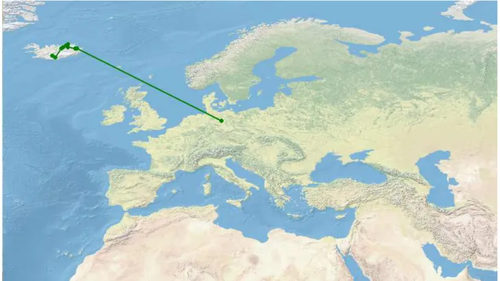 Figure 9.  Individual track of Diaptomus rostripes.