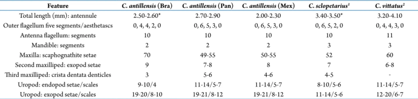 Table 2.  Comparison of relevant megalopae features of Clibanarius antillensis, collected from a Mexican population to those obtained  in laboratory conditions from Brazilian (Bra) (Brossi-Garcia and Hebling, 1983) and Panamanian (Pan) populations (Siddiqu