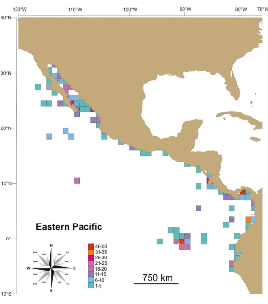 Figure 3.  Species richness of marine benthic caridean shrimps per grid (1° latitude by 1° longitude) in the Eastern Tropical Pacific