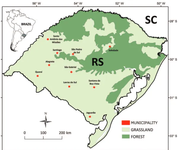 Fig. 1.  Location of the ten municipalities in the Rio Grande do Sul State (RS), Brazil, and main land coverage