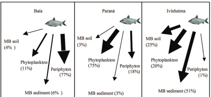 Fig. 4.  The average percentage contribution of each carbon source in different subsystems