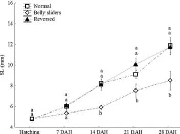 Fig. 2. Effect of the swim bladder dysfunction in the initial  growth of Austrolebias nigrofasciatus