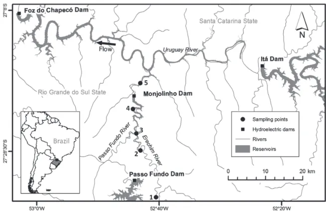 Fig. 1 . Geographical situation of the study area and sampling points. Note that fish samples for this study were taken before  river damming by the UHE Monjolinho.