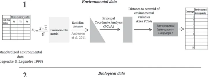 Fig. 3.  Data analysis procedure for environmental heterogeneity and beta diversity for the different matrices of the trophic  and reproductive guilds.