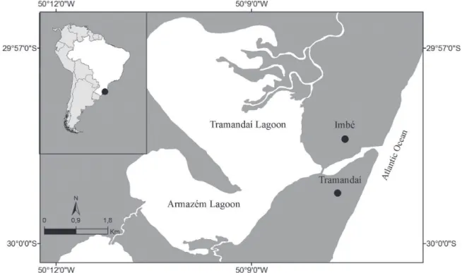 Fig. 1. Maps showing the sampled area, Southwest Atlantic, rio Tramandaí Estuary.