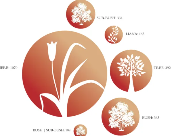 Figure 4 – The most representative life forms ( i.e . those with more than 100 species assessed) found among threatened  species in Brazil.