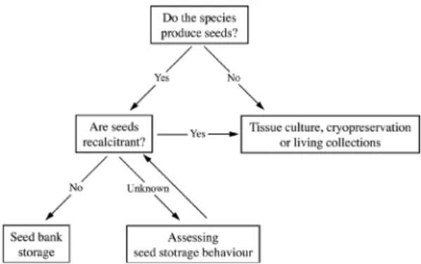 Figure 1 – Workflow of species traits needed to be  addressed to orient the best  ex situ  conservation strategy.