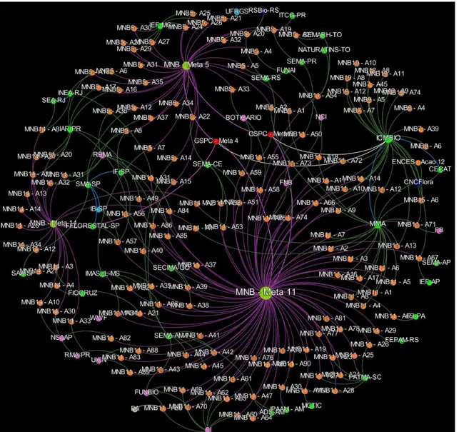 Figure 9 – Network visualization for GSPC Target 4.