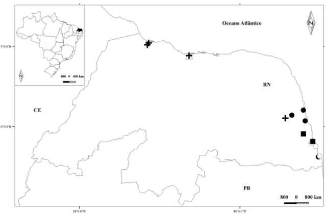 Figura 2 – Distribuição de Buchenavia, Conocarpus, Laguncularia e Terminalia no estado do Rio Grande do Norte,  Brasil