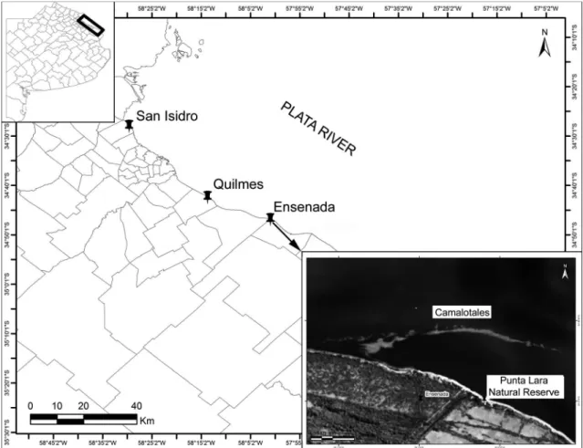 Figure 1 – Map of the study area, with a detail of a satellite image showing the Eichhornia rafts arrival.