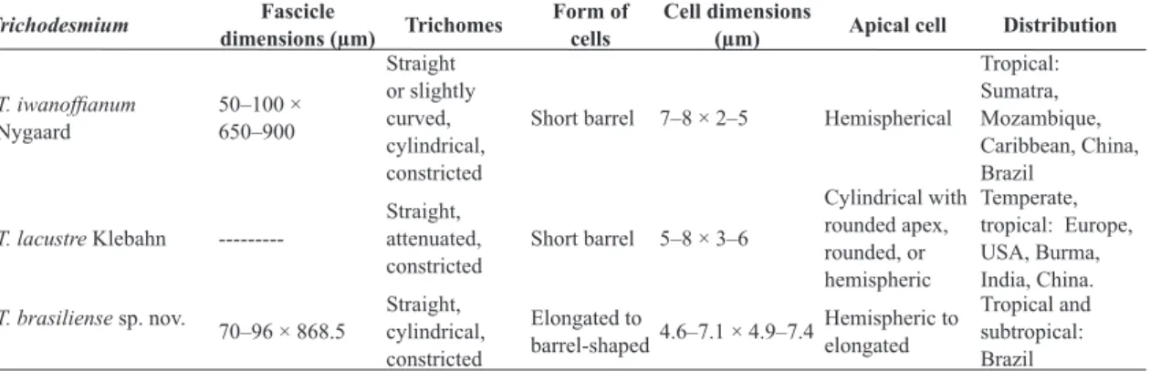 Table 1 – Comparison between the Brazilian material and the other  Trichodesmium  species from freshwaters.