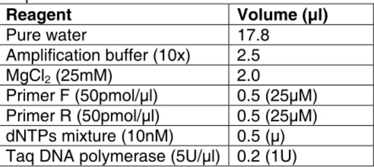 Table 1. Reagents used to prepare the PCR  amplification mixture.  Reagent Volume  (µl)  Pure water  17.8   Amplification buffer (10x)  2.5  MgCl 2  (25mM)  2.0  Primer F (50pmol/µl)  0.5 (25µM)  Primer R (50pmol/µl)  0.5 (25µM)  dNTPs mixture (10nM)  0.5 