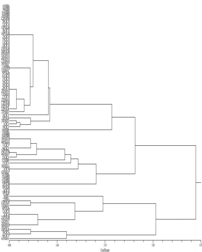 Figure 9. Dendrogram representing the grouping of clinical isolates based on CAIV  genotypes