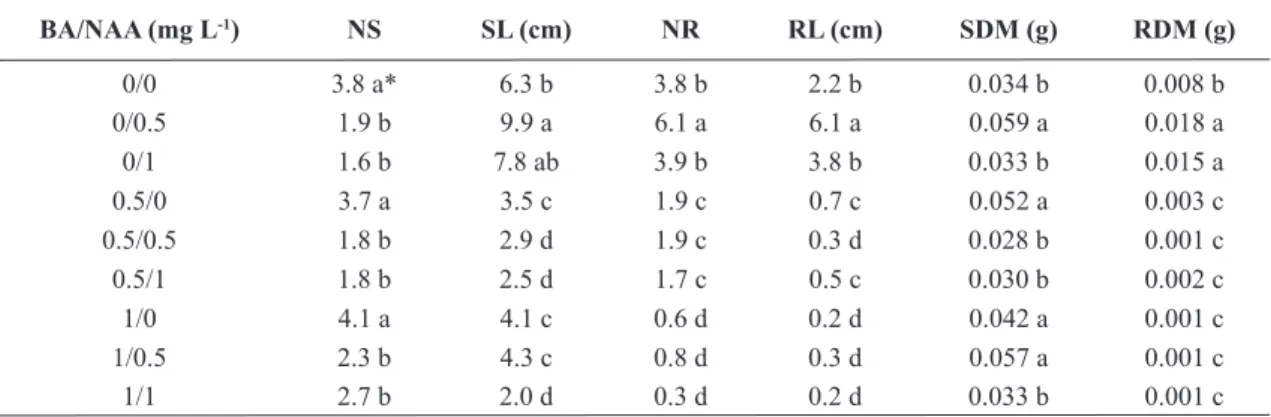 Table 2 – Effects of benzyladenine (BA) and naphthaleneacetic acid (NAA) on the multiplication and growth of  Catasetum macrocarpum after 120 days of in vitro culture