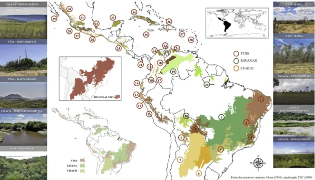 Figura 1 –  Distribuição geográfica da Região Neotropical com enfoque nas áreas de Florestas Tropicais Sazonalmente  Secas (FTSSs) (1, 2, 4, 5, 8, 9, 11-18, 21-38), Savanas (3, 10, 19, 20) e o Gran Chaco (6, 7)