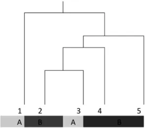 Figura 6 – Dendrograma da classificação TWINSPAN. 