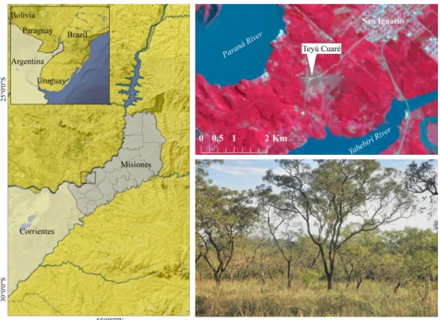 Figure 1 – Location of the research area in San Ignacio, Misiones - Argentina, and study site overview (bottom right).