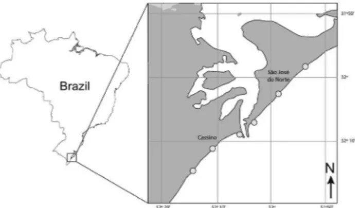 Figure 1. Location of the six sampling sites in the coastline of Rio  Grande do Sul, Brazil.