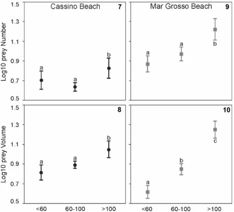 Table 3. Variations in Index of Relative Importance of the main  items ingested by the juvenile flatfish of the Cassino and Mar  Grosso beaches, along the ontogeny