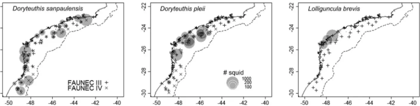 Figure 2. Maps of FAUNEC surveys from where squid where obtained. Abundance data were log-transformed for better visualization