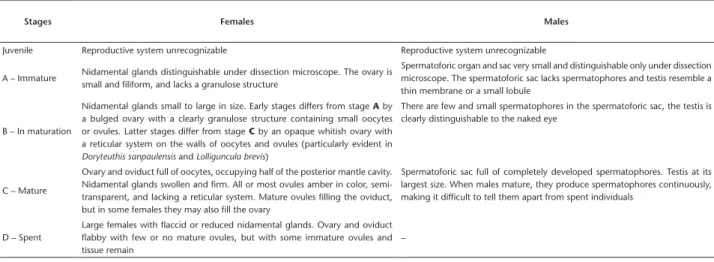 Table 1. Juanicó’s (1983) loliginid squid maturity scale.