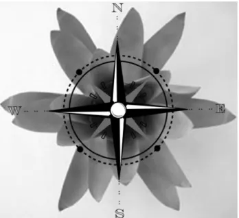 Fig. 1 illustrates how we collected data on the cardinal directions  using a bromeliad as an example