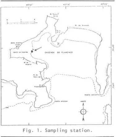 Figo  10  Sampl  ing  stationo  and  surface  net  plankton  samples  were  also  collected,  but  were  not  analysed