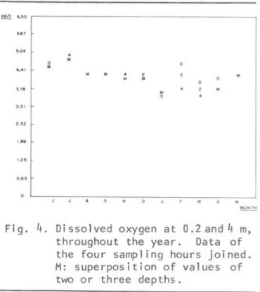 Fig.  4.  Dissolved  oxygen  at  O.2and4  m,  throughout  the  year.  Data  of  the  four  sampling  hours  joined