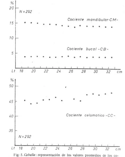 Fig: 5. Caballa : representación  de  los  valores  promedios  de  los  co- co-cientes  bucal  (CB),  mandibular  (CM)  y  celomático  (CC)  por  clases  de  Lt  con i  =  1 em 