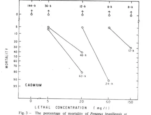 Fig. 3 - The  percentage  of  mortality  of Penaeus  brasiliensis  at  various lethal concentrations of cadmium during 144 hours  of  exposure