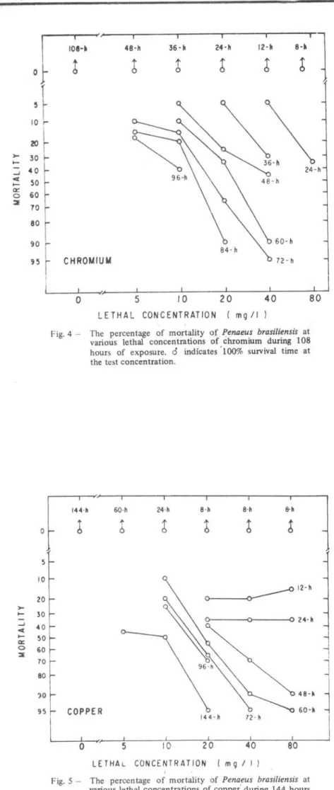 Fig.  5 - The  percentage  of  mortality  of  Penaeus  brasiliensis  at  various  lethal concentrations  of copper&#34;  during  144  hours  of  exposure