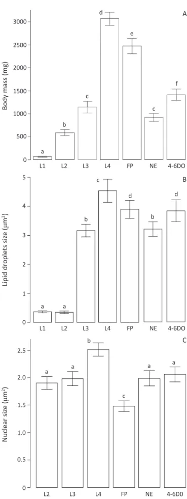 Fig 2 Body mass, trophocyte lipid droplet and nuclear sizes at  different development stages of  Toxorhynchites theobaldi 