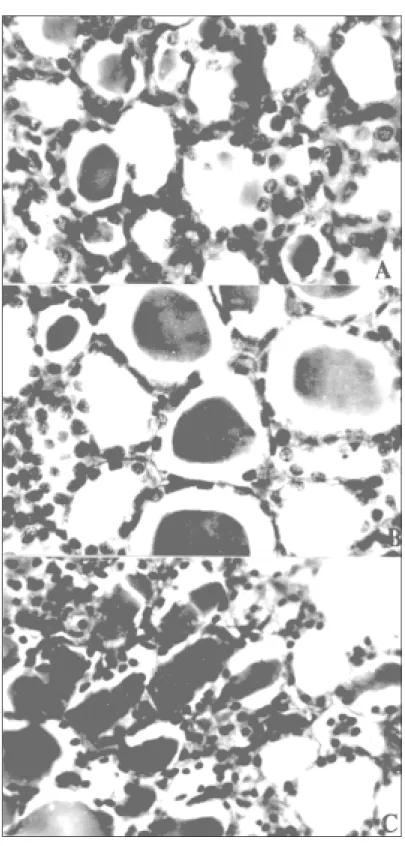Fig 1 — All the figures are transverse section of the thyroid gland of male S.heathi during different stages of reproduc- reproduc-tive cycle