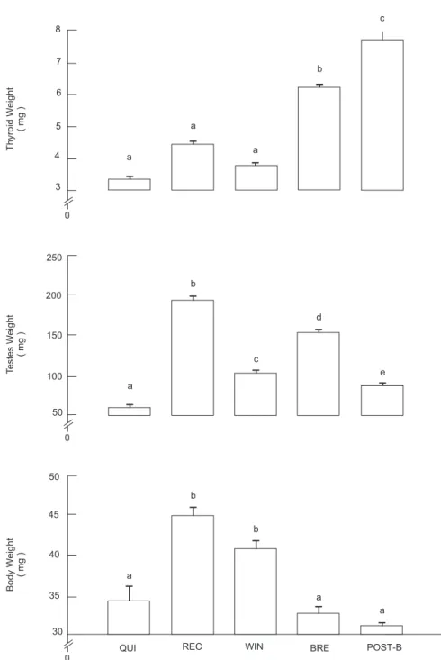 Fig. 2 — The body, testes, and thyroid weights of male S. heathi during different reproductive stages