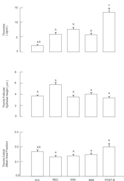 Fig. 3 — Thyroid follicular epithelial height (µm), thyroid colloid (mean areal fraction) and circulating thyroxine (ng/ml) concentration of male S
