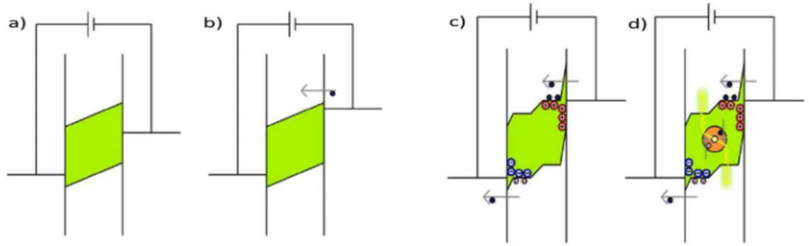 Figura 16: esquema de transporte de cargas em a) e b) funcionamento de um PLED e c) e d) o funcionamento de um LEC [26]