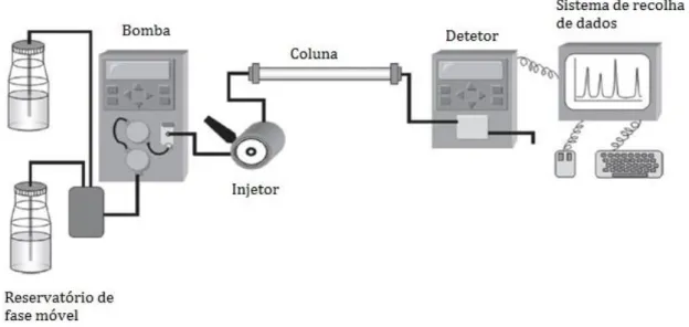 Figura  5  –  Diagrama  representativo  dos  diferentes  componentes  de  um  sistema  de  HPLC  (adaptado de Nollet, 2013) 