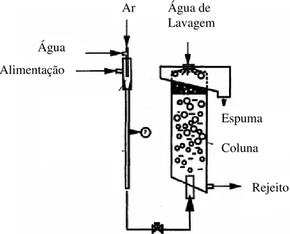 Figura 2.9 - Esquema de uma célula Contact (FINCH, 1995).   