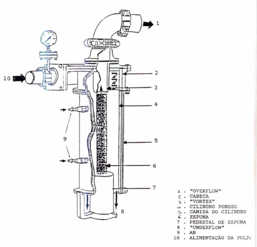 Figura 2.11 - Esquema do Air-Sparged-Hydrocyclone (GUIMARÃES, 1995). 