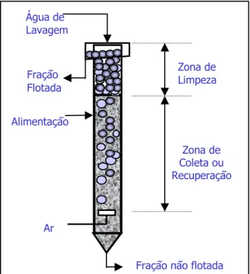 Figura 2.12 - Representação esquemática da coluna de flotação (LUZ et al, 1998). 