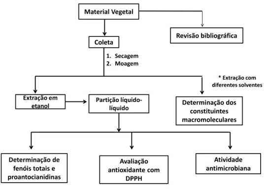 Figura  9:  Fluxograma  para  a  análise  química  de  madeiras,  cascas  e  folhas  utilizada  neste trabalho