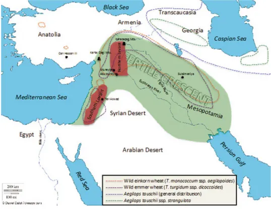 Figure 1. Map of the ancient Middle East showing the Fertile Crescent region (green) (Faris 2014).