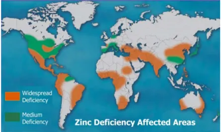 Figure 4. Global distribution of regions with Zn deficiency (Cakmak, 2008). 