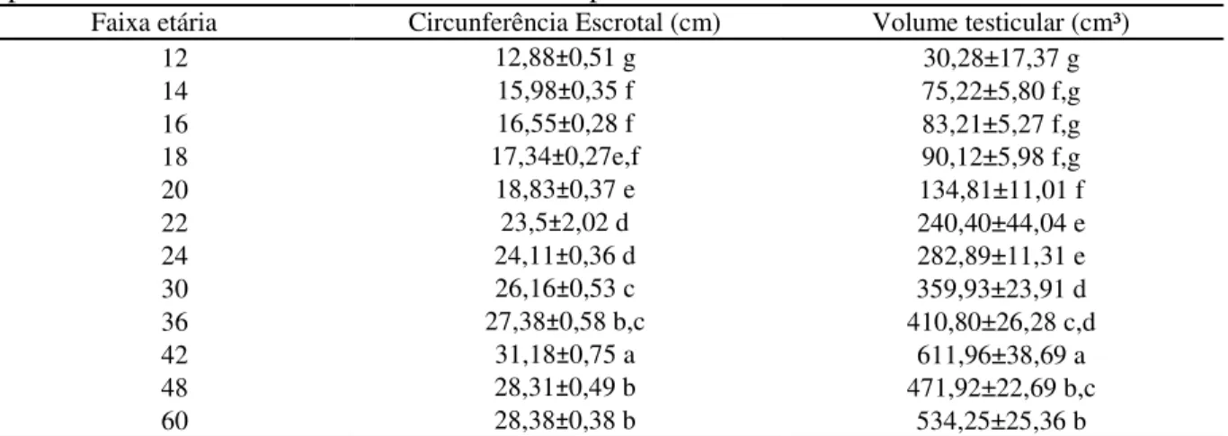 Tabela 1  –  Circunferência escrotal e Volume testicular (média e desvio padrão) de machos  mestiços  (Murrah  x  Mediterrâneo)  (n=19)  de  acordo  com  a  faixa  etária,  avaliados  num  período de 6 meses consecutivos mantidos a pasto na Amazônia Orient