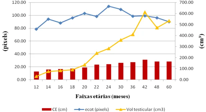Gráfico 04  –  Relação entre circunferência escrotal, volume testicular e a quantidade de pixels  de 19 machos mestiços (Murrah x Mediterrâneo) de acordo com a faixa etária, no período de  maio a novembro 2010